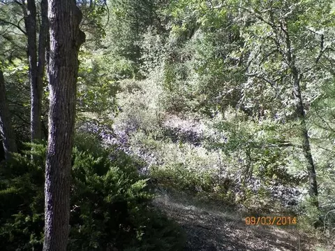 1105 Alpine Rd, Eagle Point, OR 97524 photo 34