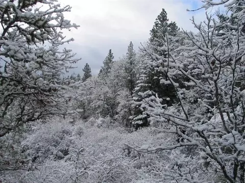 1105 Alpine Rd, Eagle Point, OR 97524 photo 30