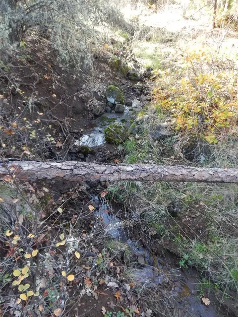 1991 Crowfoot Rd, Eagle Point, OR 97524 photo 35