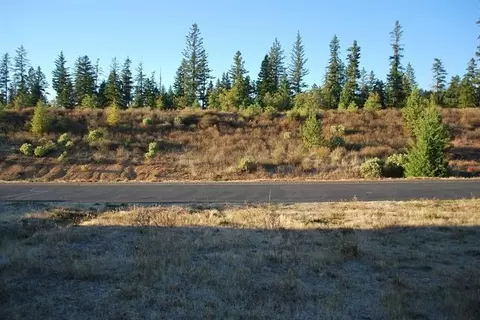 233 Red Cedar Ln, Cave Junction, OR 97523 photo 3