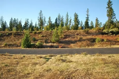 237 Red Cedar Ln, Cave Junction, OR 97523 photo 3