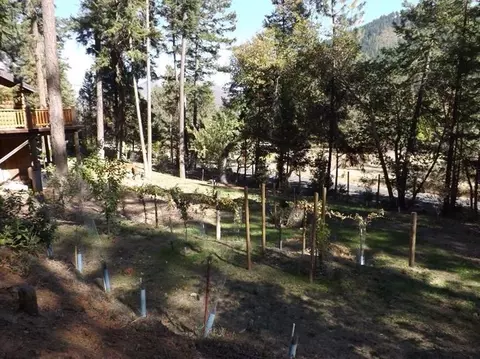 758 Thompson Creek Rd, Applegate, OR 97530 photo 34