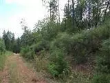 2115 Crow Rd, Merlin, OR 97532 photo 8