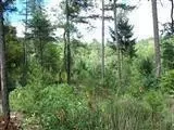 2115 Crow Rd, Merlin, OR 97532 photo 9