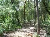 2115 Crow Rd, Merlin, OR 97532 photo 6