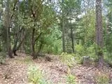 2115 Crow Rd, Merlin, OR 97532 photo 11
