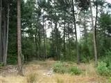 2115 Crow Rd, Merlin, OR 97532 photo 4
