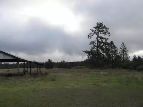 6470 Westside Rd, Cave Junction, OR 97523 photo 5