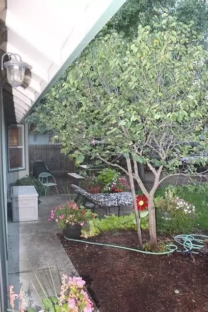554 Crystal, Eagle Point, OR 97524 photo 13