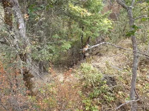 13402 Upper Applegate Rd, Jacksonville, OR 97530 photo 10