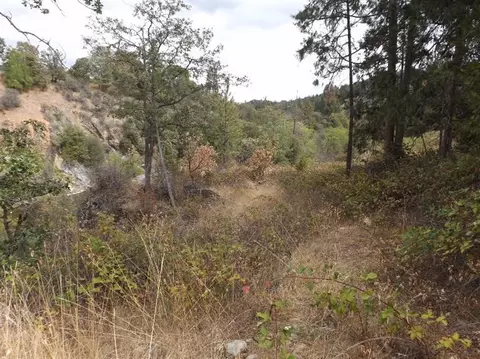 13402 Upper Applegate Rd, Jacksonville, OR 97530 photo 13
