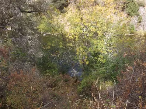 13402 Upper Applegate Rd, Jacksonville, OR 97530 photo 15