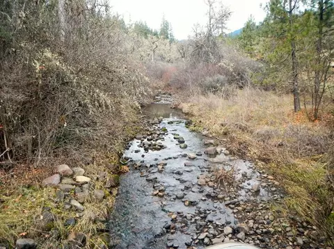 495 Lodge Rd, Trail, OR 97541 photo 8