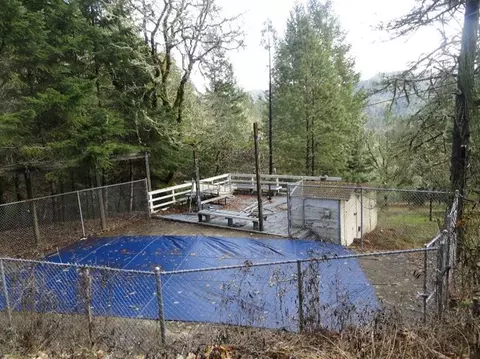 8901 Azalea-glen Rd, Glendale, OR 97442 photo 34