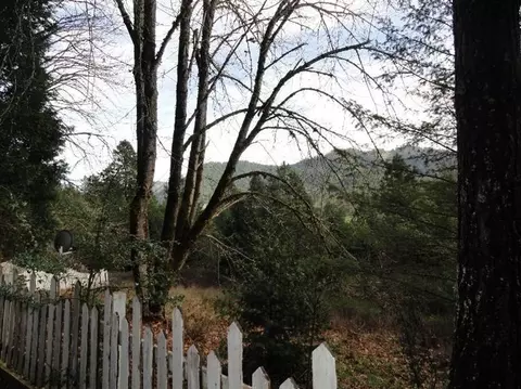 8901 Azalea-glen Rd, Glendale, OR 97442 photo 32