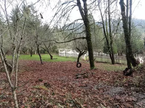 8901 Azalea-glen Rd, Glendale, OR 97442 photo 30