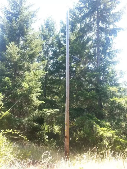 4685 Agness Rd, Agness, OR 97406 photo 7