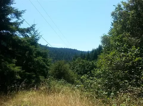 4685 Agness Rd, Agness, OR 97406 photo 1
