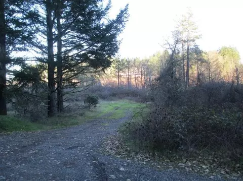 2561 W Side, Cave Junction, OR 97523 photo 3