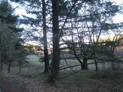 2561 W Side, Cave Junction, OR 97523 photo 4
