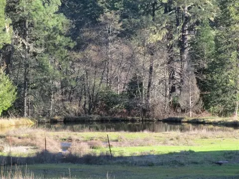 2561 W Side, Cave Junction, OR 97523 photo 7