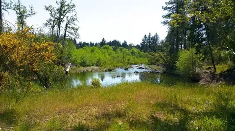 5521 Westside Rd, Cave Junction, OR 97523 photo 15