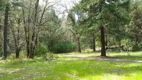 5521 Westside Rd, Cave Junction, OR 97523 photo 4