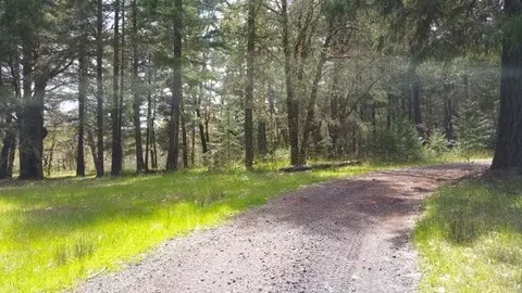 5521 Westside Rd, Cave Junction, OR 97523 photo 14
