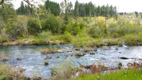 5521 Westside Rd, Cave Junction, OR 97523 photo 6