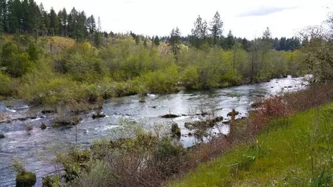 5521 Westside Rd, Cave Junction, OR 97523 photo 9