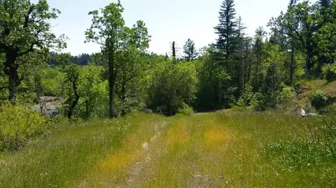 5521 Westside Rd, Cave Junction, OR 97523 photo 5