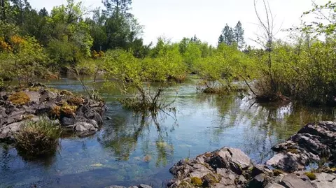 5521 Westside Rd, Cave Junction, OR 97523 photo 11