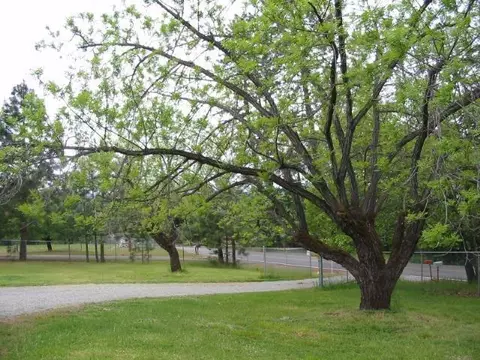 718 Summit Loop, Grants Pass, OR 97527 photo 18