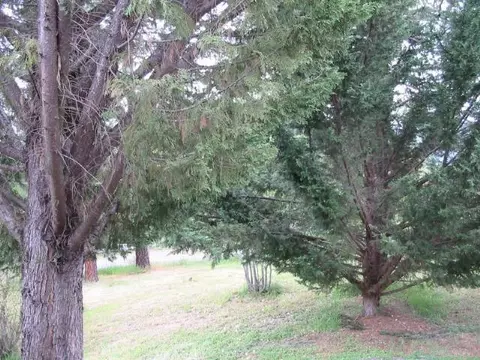 718 Summit Loop, Grants Pass, OR 97527 photo 25