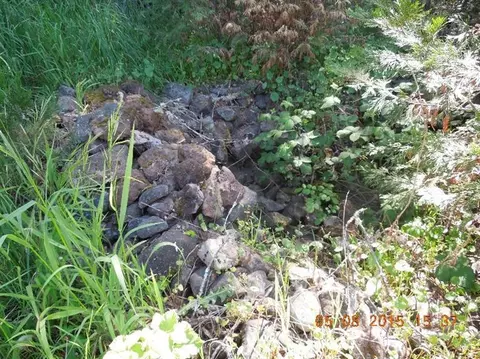 4988 Holland Loop, Cave Junction, OR 97523 photo 33