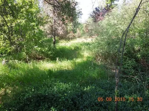 4988 Holland Loop, Cave Junction, OR 97523 photo 34