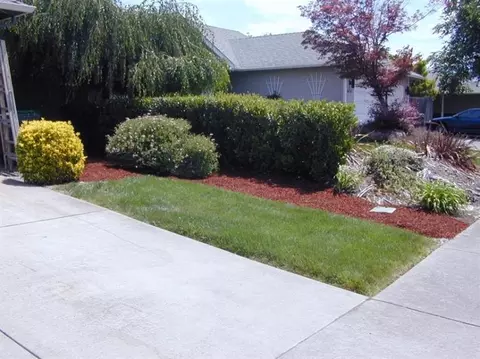 633 Benjamin Way, Phoenix, OR 97535 photo 4