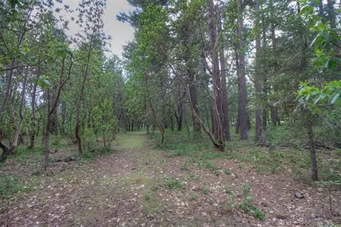 235 Cedar Flat Rd, Williams, OR 97544 photo 24
