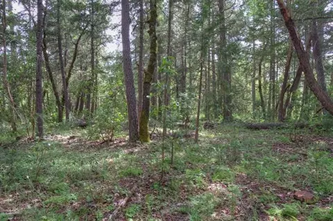 235 Cedar Flat Rd, Williams, OR 97544 photo 13