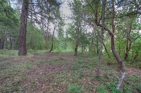 235 Cedar Flat Rd, Williams, OR 97544 photo 27