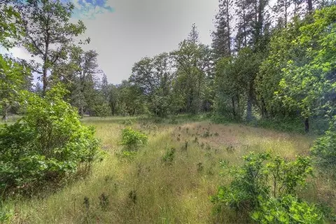 235 Cedar Flat Rd, Williams, OR 97544 photo 2