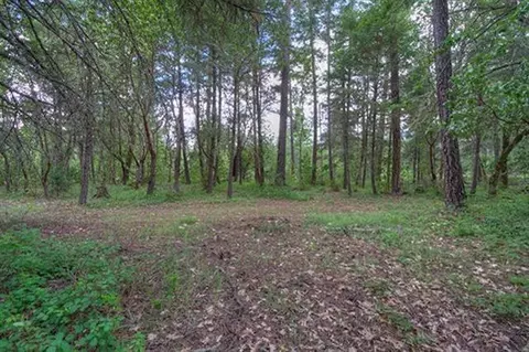 235 Cedar Flat Rd, Williams, OR 97544 photo 25