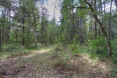235 Cedar Flat Rd, Williams, OR 97544 photo 22