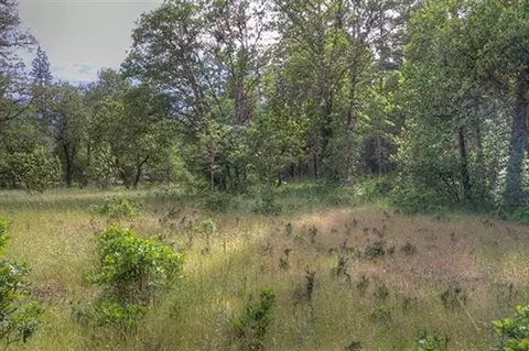 235 Cedar Flat Rd, Williams, OR 97544 photo 7