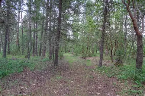 235 Cedar Flat Rd, Williams, OR 97544 photo 26
