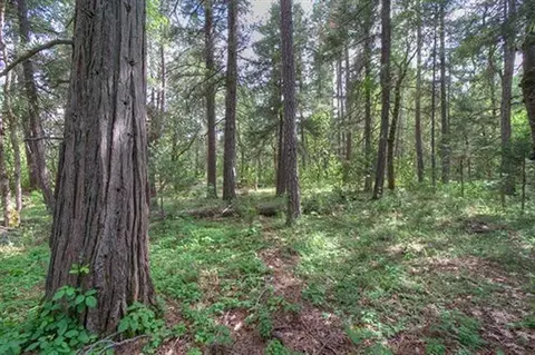 235 Cedar Flat Rd, Williams, OR 97544 photo 12