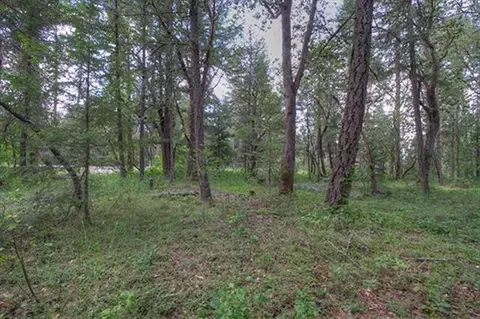 235 Cedar Flat Rd, Williams, OR 97544 photo 18