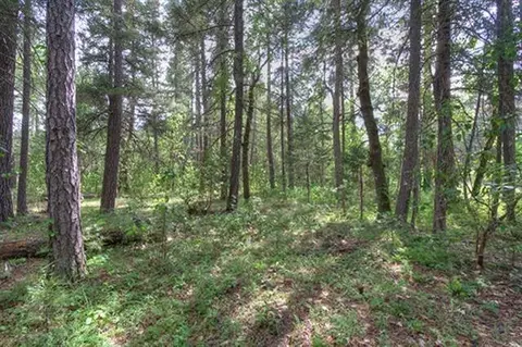 235 Cedar Flat Rd, Williams, OR 97544 photo 14