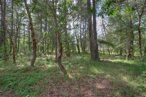 235 Cedar Flat Rd, Williams, OR 97544 photo 11