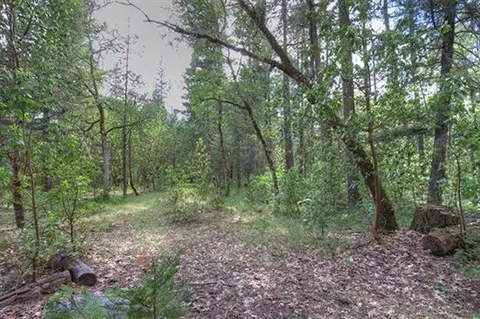 235 Cedar Flat Rd, Williams, OR 97544 photo 29